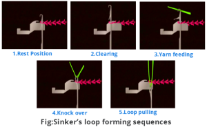Sinker’s loop forming sequences