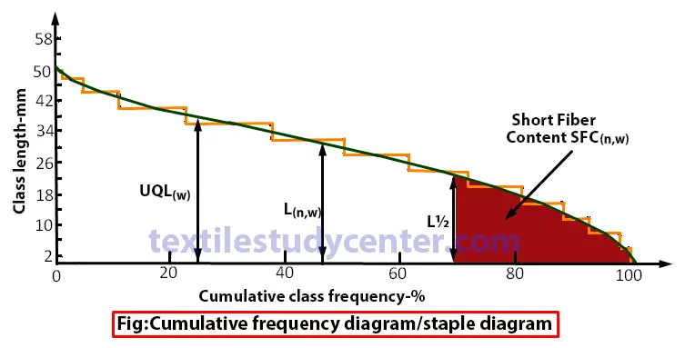 camulative frequency diagram-staple diagram