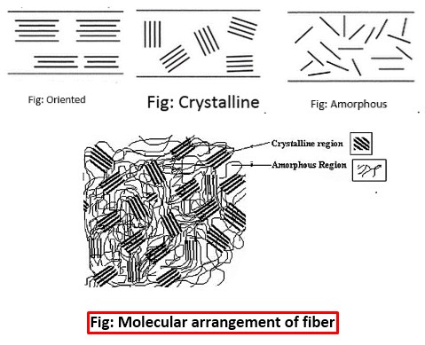 Crystalline and Amorphous Structure of Fiber