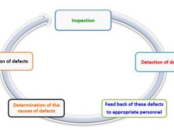 Inspection Cycle