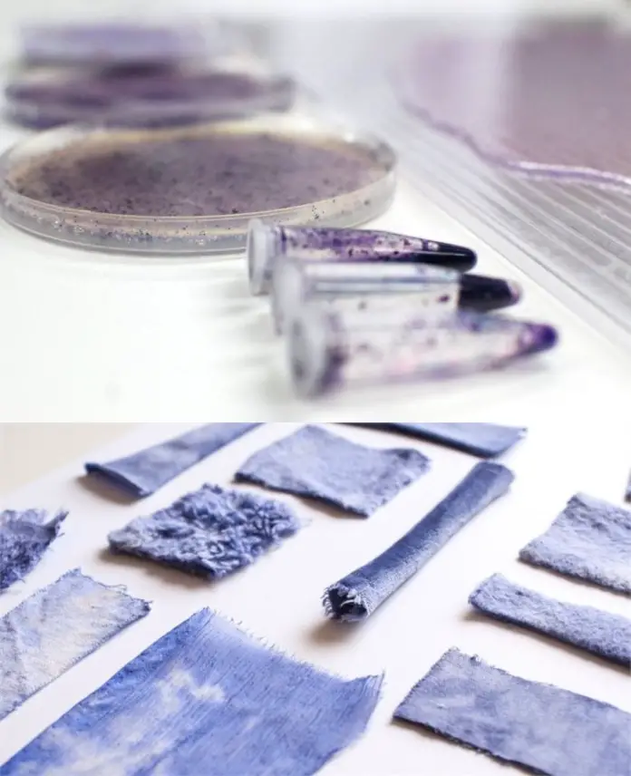 Colours Made From Bacteria