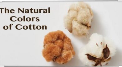 Natural Colors of Cotton Yarn